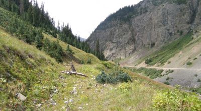 Historic Alpine Loop Southern Colorado - Animas River