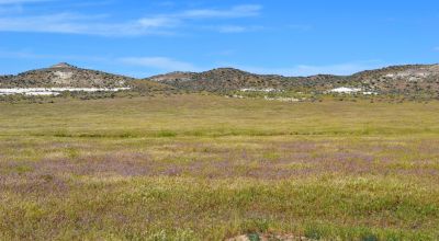 Rome Oregon 20 Acres Located on Old Ion HWY - Borders BLM
