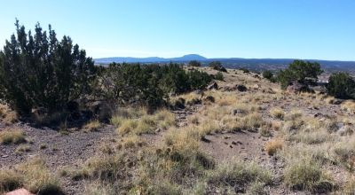 14 town lots Grants New Mexico - On the Hill above town - Sold individually or in groups