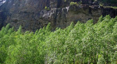 Scenic Pristine Colorado Mountain land - Henson Creek flows thru property