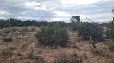 30 acre Central New Mexico Property Windmill Ranch Excellent Roads. Power at Road