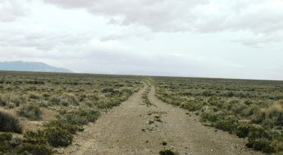 2 adjoining 80 acre parcels * Dolly Varden