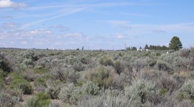 3 adjoining Town Lots 1 block from Christmas Valley Hwy.  All utilities at street