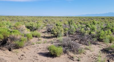 San Luis Valley Southern Colorado  -  Star Filled nights - Vibrant blue skies