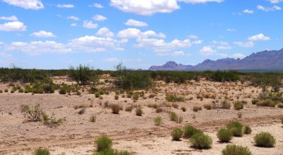 5 acres south of Deming New Mexico. Classic Desert land. Camp RV Build