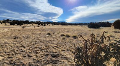 Walking Distance to State Park & Lake