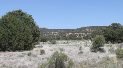 Rolling Hills Near mountains and Government lands Western New Mexico