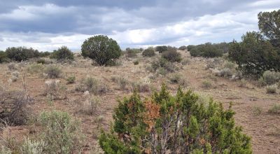 30 acre Central New Mexico Property Windmill Ranch Excellent Roads. Power at Road