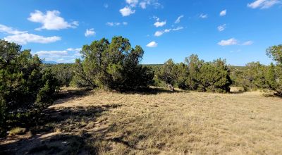 Treed Parcel - Arroyo at Back Property Line - Views - Near 2 Lakes