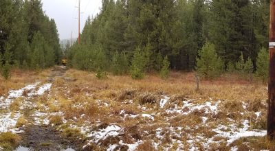 Pristine forest land with Crescent Creek - Trees - Meadows