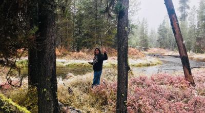 Pristine forest land with Crescent Creek - Trees - Meadows