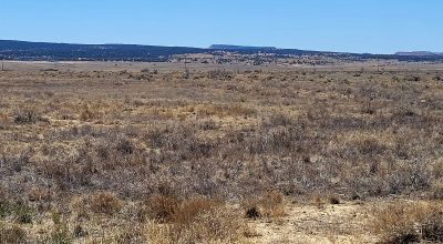Hwy 509 Frontage - Power at road - Near Ambrosia Lake - Four 1-acre parcels available