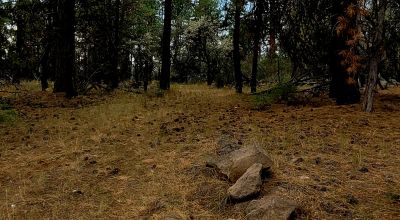 Level Building Lot Oregon - Camp - RV - Build