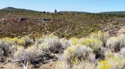 Remote Oregon wilderness. On Mesa near the Rim