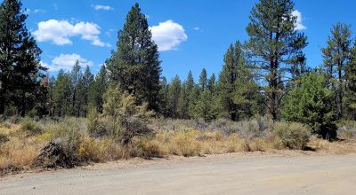 Park Like Settings on Over 2.5  acres Power at Property Line