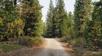 Heavily Forested property with incomplete steel pole metal roof shed/barn