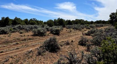 4 adjoining Lots - buy 2 or all 4 - Corner - Some Trees Scenic Views - West of Taos