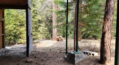 Heavily Forested property with incomplete steel pole metal roof shed/barn