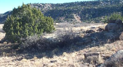 5 Acres Near Conchas Lake—Quiet & Remote Bordering Parkland