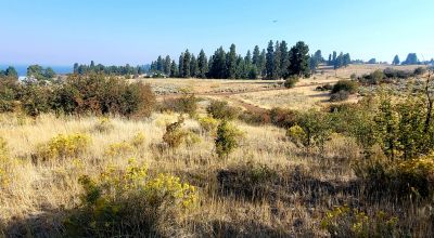Huge Views - Bowl type setting - End of cul-de-sac near Henzel Park & Agency Lake