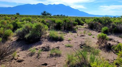 San Luis Valley Southern Colorado  -  Star Filled nights - Vibrant blue skies