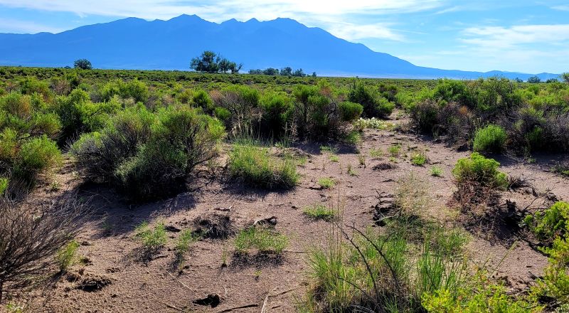 San Luis Valley Southern Colorado  -  Star Filled nights - Vibrant blue skies