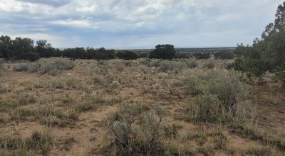 30 acre Central New Mexico Property Windmill Ranch Excellent Roads. Power at Road