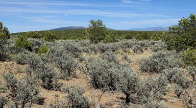 4 adjoining Lots - buy 2 or all 4 - Corner - Some Trees Scenic Views - West of Taos
