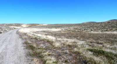 80 acres of Rolling Hills  only $49,000