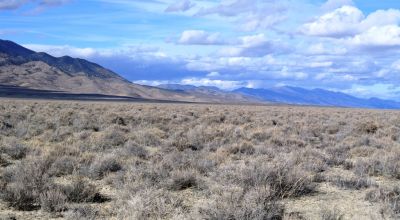2 adjoining 80 acre parcels * Dolly Varden