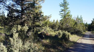 Adjoins Forest Service lands  3 treed lots * 2 together & 1 lot separted by a lot. Buy 1 or 2