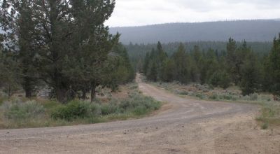 10 Treed acres Near Beatty Oregon - Owner financing available
