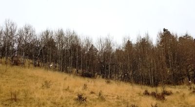 Cripple Creek Mountain Estates - Scenic Views - Residential parcel