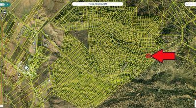 Two Adjacent Lots in Tierra Amarilla - Over One Acre - Wooded
