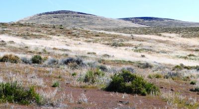 80 acres of Rolling Hills  only $49,000