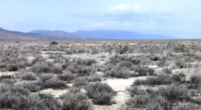 2 adjoining 80 acre parcels * Dolly Varden