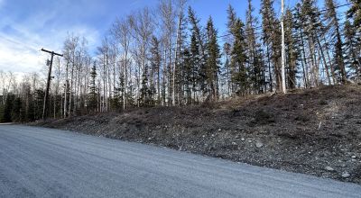 Residential Treed Parcel - Western Outskirts Wasilla Alaska - Backs to Open Space