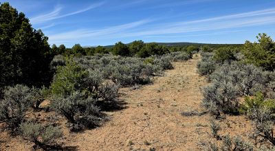4 adjoining Lots - buy 2 or all 4 - Corner - Some Trees Scenic Views - West of Taos