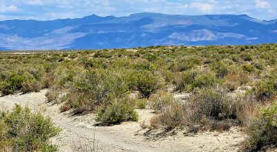 1 Full Section of  Nevada Desert & SAND HILLS  *  1 mile by 1 mile *
