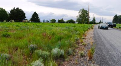 2 Adjoining Lots in Oregon shores in the highly coveted Unit 2 * Huge Views *