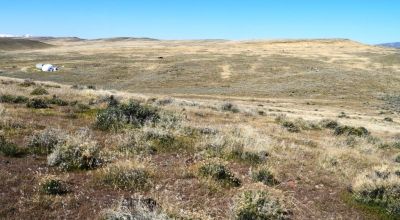 80 acres of Rolling Hills  only $49,000