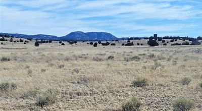 Wide Open Spaces Western New Mexico 25 miles SW Quemado County Road Access