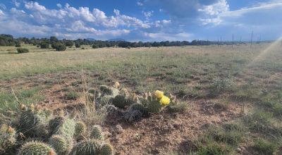 Walking Distance to State Park & Lake