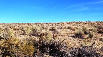 Recreational Camping Lots near Rio Grande River - Several to choose from