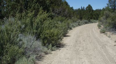 2 adjoining lots with wide open views of Sprague River and Valley