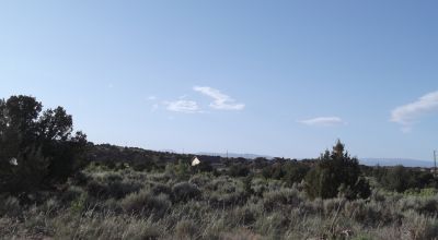 Cove Acres - 3 adjoining 1/2 acre parcels - 6 miles from Roosevelt