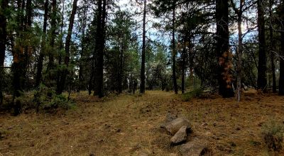 Level Building Lot Oregon - Camp - RV - Build