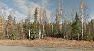 South of North Pole Alaska - Borders Hwy 2 aka Richardson Hwy