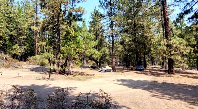 Spacious Treed Parcel - Southerly facing - 5+ acres