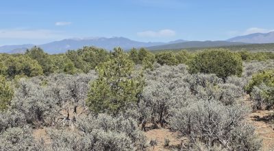 Taos County - Tres Piedras New Mexico 1 acre CAMP, RV, BUILD